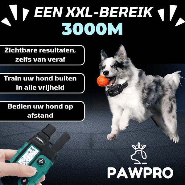 PAWPRO Trainingshalsband