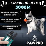 PAWPRO Trainingshalsband