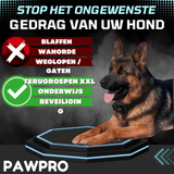 PAWPRO Trainingshalsband