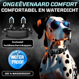 PAWPRO Anti-blafband